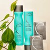 Malibu C Scalp Wellness Collection - Soothing Shampoo and Conditioner Hair Care Set for Dry Scalp - Formulated with Vitamin C Antioxidant Complex - Travel Size Scalp Remedy Packets Included (33.8 oz)