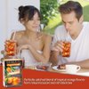 China Mist Iced Tea – Tropical Orange Black Tea Infusion – Refreshing and Delicious – Each Tea Bag Yields 1/2 Gallon – 4 bags.