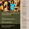 Gya Labs Australian Sandalwood Essential Oil - 0.34 Fl Oz - for Hair, Skin, Diffuser, Aromatherapy & DIY Candle Making Scent