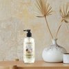 Caldrea Hand Wash Soap, Aloe Vera Gel, Olive Oil And Essential Oils To Cleanse And Condition, Gilded Balsam Birch, 10.8 Fl Oz
