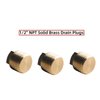 DEWHEL Brass 1/2" NPT Boat Drain Plugs,3pcs Boat Hull Spare Garboard Drain Plug for Bayliner Four Winns Glastron Larson Sea Ray Starcraft and Many Other Models