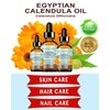 Botanical Beauty CALENDULA OIL Egyptian Calendula Officinalis Marigold Oil Pure Natural for FACE, SKIN, BODY, HAIR, NAILS 0.5 Fl.oz.- 15 ml Skin Moisturizer Oil