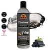 Okay Charcoal Shampoo For All Hair Types & Textures Detoxifying & Purifying With Almond, Argan & Avocado Oil Sulfate, Silicone & Paraben Free 12 Ounce , 12 Ounce