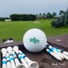 Ball Tatt - FAFO Golf Ball Stamp, Golf Ball Stamper, Self-Inking Golf Ball Stamp Markers, Reusable Golf Ball Marking Tool to Identify Golf Balls, Golfer Gift Golfing Accessories