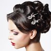 Isslly 2PCS Silver Rhinestones Hair Clips, Bridal Crystal Hair Pins, French Hairpins Alloy Leaf Shape Barrettes for Women, Girls for Wedding, Parties (1 Pairs)