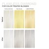 Celeb Luxury Gem Lites Duo Color Depositing Colorwash Shampoo & Conditioner Set + Bondfix Bond Rebuilder, Semi Permanent Hair Color, Vegan Hair Dye, Flawless Diamond