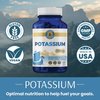 Vykee Nutrition Potassium Citrate Capsules – High-Potency 500mg Potassium Per Serving | Supports Muscle Function, Electrolyte Balance & Heart Health | Vegan, Non-GMO, 120 Capsules