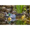 Pond H2o Floating Duck Decoy Family Pack, Contains One Male Mallard (Drake), One Female Mallard (Hen) and 3 Ducklings, Decoy, Yard Decoration