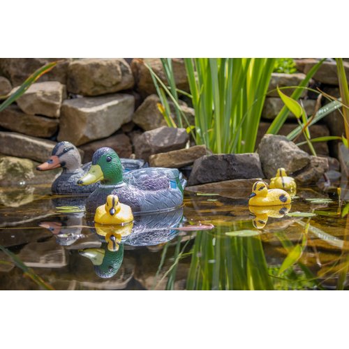 Pond H2o Floating Duck Decoy Family Pack, Contains One Male Mallard (Drake), One Female Mallard (Hen) and 3 Ducklings, Decoy, Yard Decoration