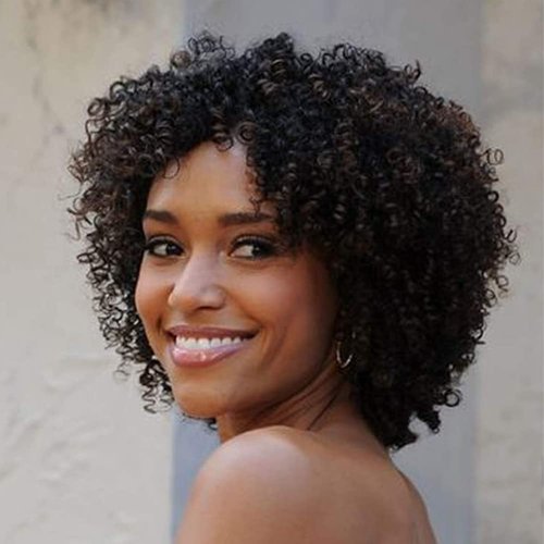 ZHENLISI Dark Brown Color Afro Kinky Curly Short Curly Human Hair Wigs Brazilian Virgin Hair Wigs for Black Women(2#)