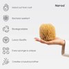 Naroa Exfoliating Natural Sponge for Bathing | Bath Sea Sponge for Healthy Skin | Unbleached Shower Body Scrubber Puff | Eco Friendly Plastic Free Sponge (Exfoliate - Medium)