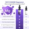 Magnesium L Threonate Liquid Drops 1500mg High Absorption Brain Supplement for Memory Focus Sleep Anxiety Relief Sugar Free Vegan 2.04 Fl Oz
