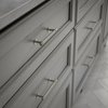 Franklin Brass Francisco (10-Pack) Cabinet Handles 4" Satin Nickel Cabinet Pulls Handles for Cabinets and Drawers Cabinet Hardware Dresser Handles Drawer Pulls P29617K-SN-B
