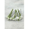Set of 5 Baby breath bridal hair pins wedding piece tiny flower hairpiece