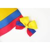 Colombia Flag Hair Bow Girls Women Hair Accessories Cultural Multicultural School Events