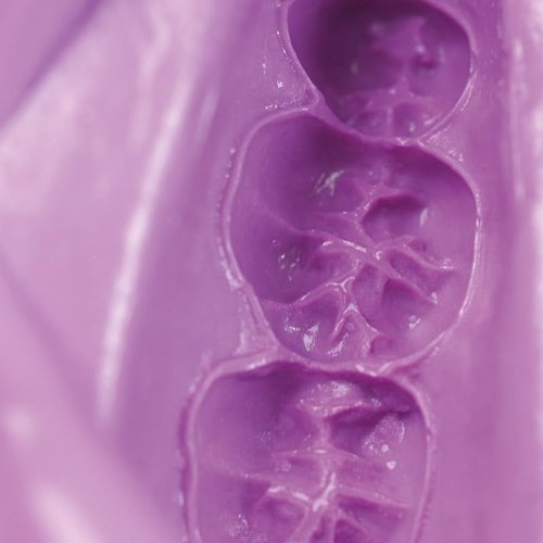 1.1Lb Cavex Cream Alginate Fast Set Dust-Free (500g) Violet, Easy Mixing