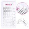 Lash Spikes Extension D Curl Mixed Tray Fairy Lashes Premade Spikes Eyelash Extensions Super Thick Spikes Individual Lashes Preamde Fans (D Curl, 8-14mm)