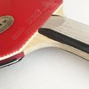 Palio Expert 2 Table Tennis Bat & Case