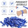 68 Pcs Cheer Bracelets Bulk Cheer Hair Ties Cheerleader Gifts Motivational Bracelets Cheer Gifts Wristbands for Cheerleading Gifts Women and Girls Cheer Squad Party Favors, Pom Pom Design (Blue)