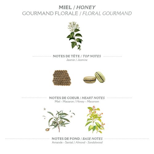 Panier des Sens Body Lotion, Moisturizer - Made in France 97% natural - 8.45 Floz/250 ml (Honey)