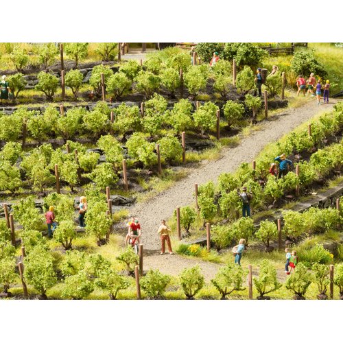 Noch 21540 Vines 2.2Cm 24/ H0,Tt Scale Model Kit