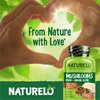 NATURELO Mushroom Supplement – Brain & Immune Health Blend with Lion’s Mane, Reishi, Turkey Tail – 90 Vegan Friendly Capsules