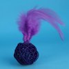 Ichiias 5 pcs/Set Cat Toy Colorful Kitten Plush Rattan Balls with Feather Ring Bell