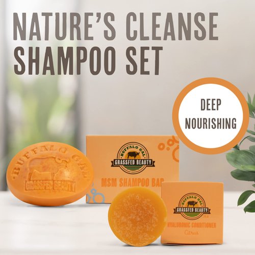 MSM Shampoo Bar + Hyaluronic Hair Conditioner Bar, Solid Bar Shampoo and Conditioner for Hair Growth, Non-Soap, For All Hair Types, Citrus, Set of 2