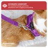 Downtown Pet Supply Step in Dog Harness for Small Dogs No Pull, Large, Purple - Adjustable Harness with Padded Mesh Fabric and Reflective Trim - Buckle Strap Harness for Dogs
