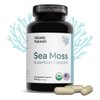 Atlantic Naturals Organic Sea Moss Capsules | Immune System, Thyroid Health, Beautiful Skin and Digestion Supplement | 120 Irish Sea Moss Capsules | Better Than Sea Moss Gel and Sea Moss Powder
