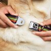 Dog Collar Seatbelt Buckle Stripes Navy Red Yellow Black White Green 11 to 17 Inches 1.0 Inch Wide