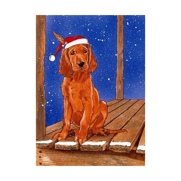 Pipsqueak Irish Setter Christmas Cards : 10 Holiday Cards with Red Envelopes - ADORABLE!