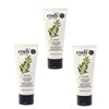 Codi Olive Lotion nourishing and rejuvenating HAND & BODY LOTION 3.3 oz - 3 TUBES
