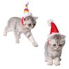 ANIAC Christmas Hamster Hats Guinea Pig Costume Mini Santa Hat for Kitten Chinchilla Rabbit Bunny Hedgehog Ferret Squirrel Rats Duck Gerbil Newborn Puppy (Stripe+Rainbow)…
