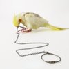 Bird Foot Chain Flying Stainless Steel Training Rope Outdoor Parrot Ankle Foot Ring Accessories Bird Harness Leash Prevent Escaping (Model7)