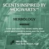 Every Man Jack - Harry Potter Body Wash - Herbology - 13.5 fl oz (2 Pack)