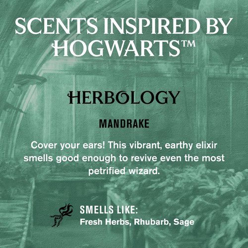 Every Man Jack - Harry Potter Body Wash - Herbology - 13.5 fl oz (2 Pack)