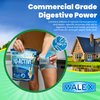 Walex Bio-Active Home Residential Septic Tank Treatment Beneficial Enzymes, Waste and Paper Digesting Additives Tabs, 1 Year Supply, 12 Treatments