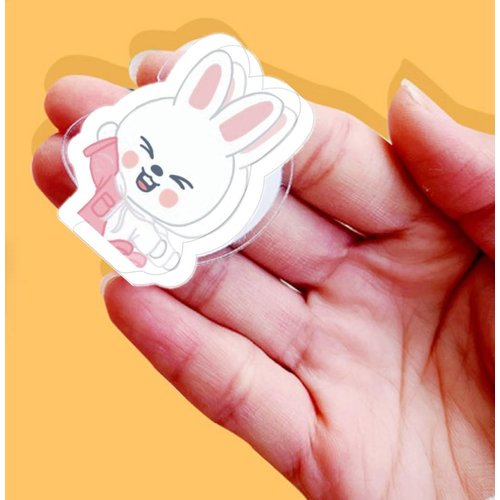 8pcs Kpop Stray Kids Hair Clips Set,Stray Kids Merch multifunctional Clips Badges,Skzoo Gift for Backpack Bag Book