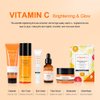 Neutriherbs Vitamin C Face Cream Day & Night Cream Facial Moisturizer - Moisturizing Softening & Smoothing Skin 1.7oz