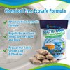 Septic Tank Treatment Packets | Enzyme Rapid Action Breaks Down Grease, Paper, Organic Solids - Controls Drain & Septic Odors - Eco Safe Sewage Backup Prevention (Pack of 6)