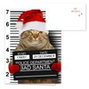 Purrpetrator Santa Cats Holiday Card Assortment Pack / 24 Christmas Cats Greeting Cards and Envelopes / 3 Bad Santa Kitten Designs With Message Inside
