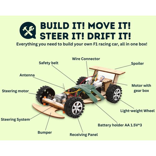 Pica Toys Wooden Wireless Remote Control F1 Racing Car Science Kit to Build (Green), STEM Project for Kids Aged 9 10 11 12 13, Science Building Kit Gift for Boys and Girls