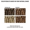 All About Curls 7N Taupe Twist Permanent Hair Color (Prep + Protect Serum & Hair Dye for Curly Hair) - 100% Grey Coverage, Nourished & Radiant Curls