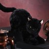 Sosation 16 Inch Black Cat Stuffed Animal Plush, Realistic Black Cat Soft Plush Pillow, Cute Plush Toy Gifts for Kids, Birthday Decoration Supplies