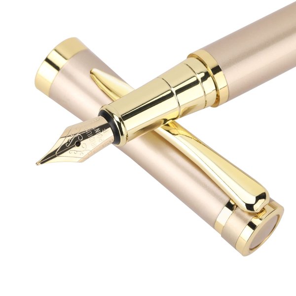 Cheericome Fountain Pen - Luxury Fountain pen set for Men & Women - Ink Pen for Smooth Writing - Fountain Pen Fine Nib，Includes 10 Ink Cartridges and Ink Refill Converter - Gold