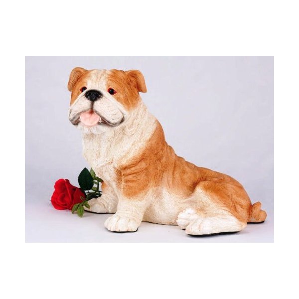 Bulldog, Fawn and White Cremation Pet Urn for Secure Installation of Your Beloved pet's Ashes Indoors or Outdoors. Rose NOT Included