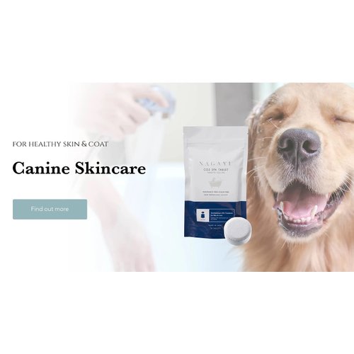 Nagayu C02 Skin Therapy Supercharge Pro Shower Head