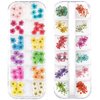 LPOne 2 Boxes 3D Nail Mini Dried Flowers Sticker Nail Art Resin Craft DIY,Real Natural Dried Flowers, Five Petal Flower Leaf Gypsophila Dry Flower Nail Art Decoration Kits., box 5.12 x 1.97 inches