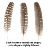 CCINEE 15pcs Natural Turkey Feather, 10-11 Inches Wild Turkey Feathers for Craft Costume Bridesmaid Corsage Wreath and Home Decoration